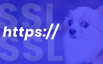 SSL certifikát (zdarma), aneb jak získat https:// před URL webové stránky?
