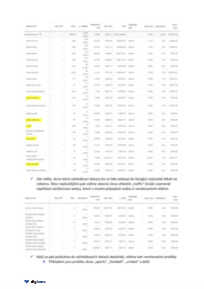 ukázka ppc audit digiamo