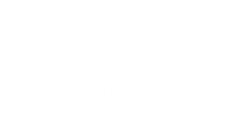Česká spořitelna