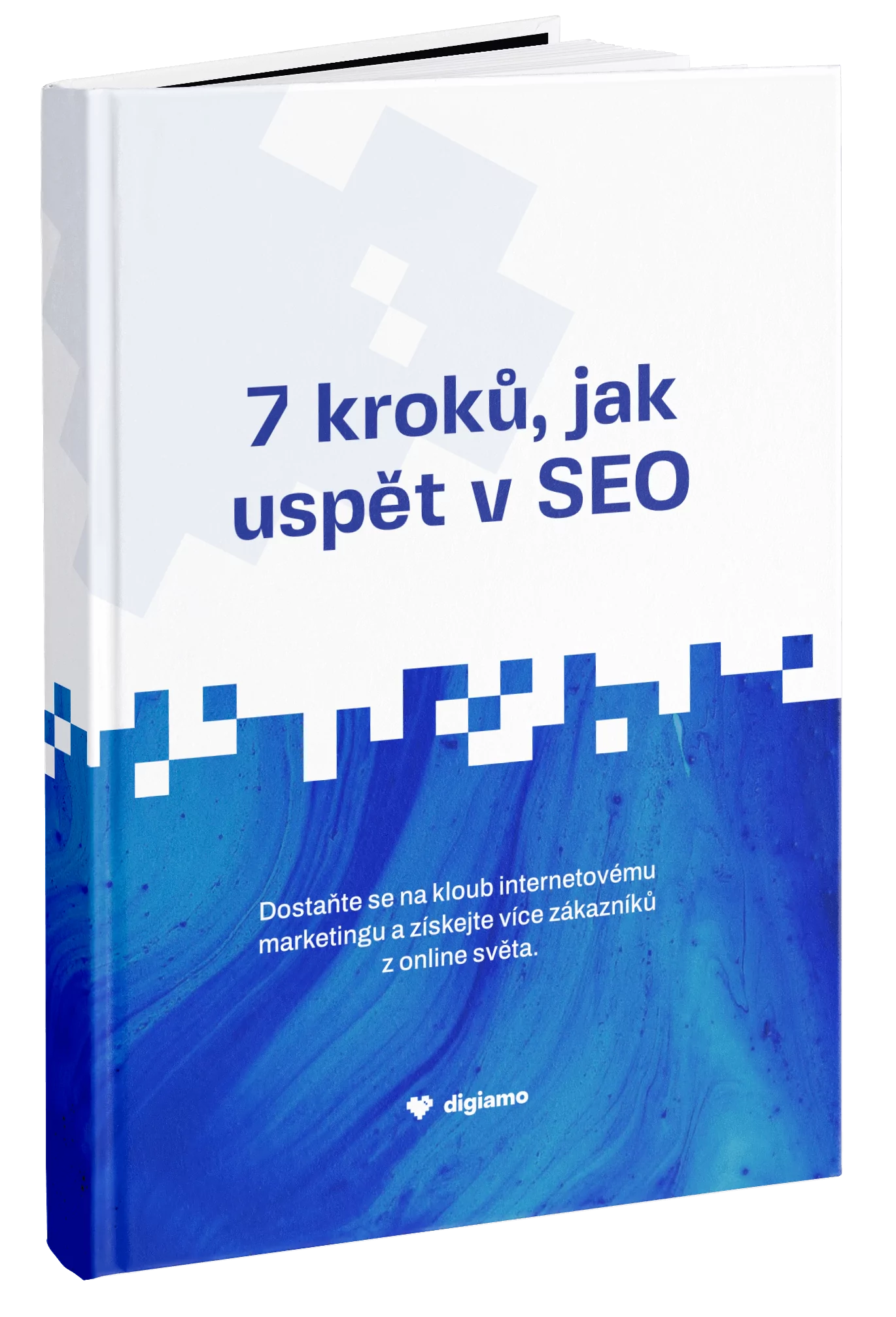 Kniha 7 kroků, jak uspět v SEO